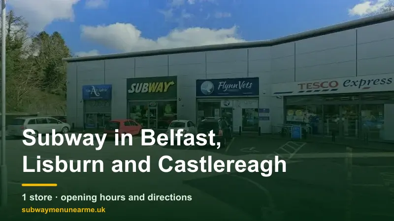 subway belfast lisburn and castlereagh