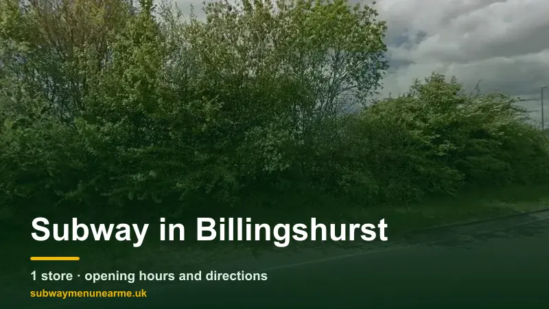 subway billingshurst