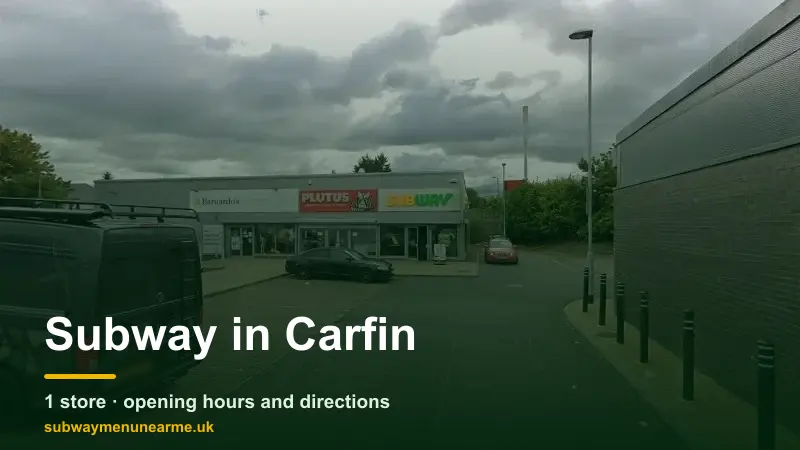 subway carfin