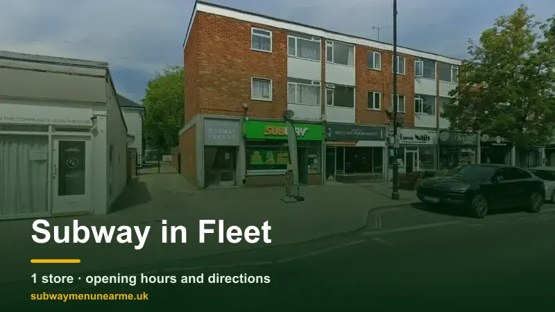 subway fleet