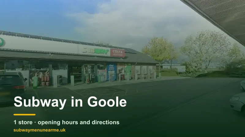 subway goole